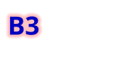 B3